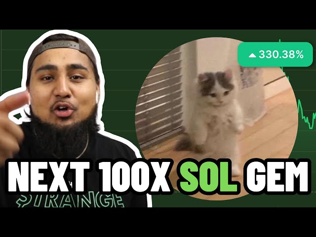 THE NEXT 1000X SOLANA MEME COIN MICHI NEW $SOL MEME COIN | $MICHI