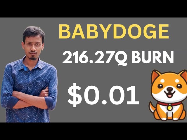 La grosse pompe Baby Dogecoin arrive | 216.27Q Brûler | Prix ​​de la pièce BabyDoge 0,01 $ | Liste Binance