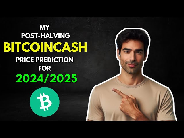 2024/2025년 내 BITCOINCASH BCH 반감기 가격 예측