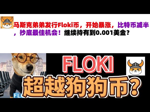 馬斯克的兄弟發行了Floki幣，該幣開始暴漲。比特幣減半，抄底最佳機會！繼續保持在 0.001 美元嗎？弗洛基幣 |馬斯克弟弟發行的硬幣 | Floki Coin 市場