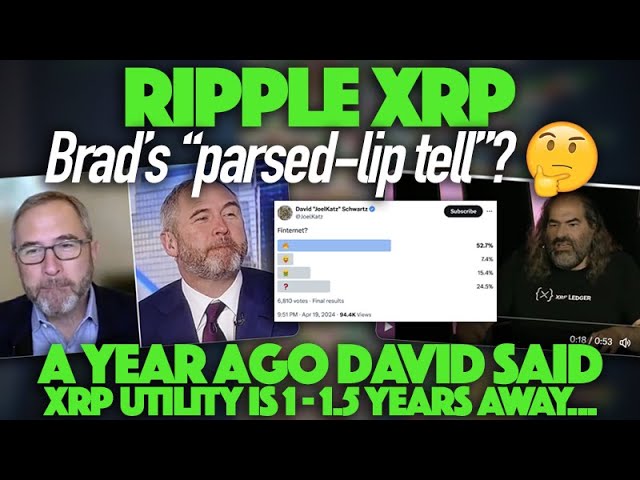 Ripple XRP : le « récit analysé » de Brad et le calendrier de 1 à 1,5 an sont presque terminés. David a déclaré que la demande de XRP était à venir