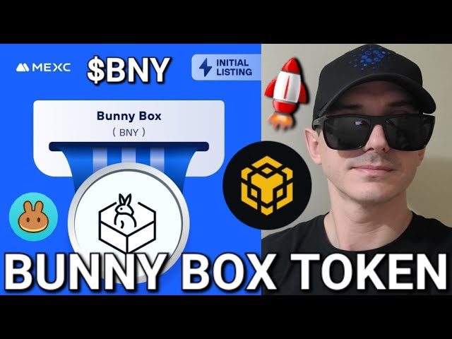 $BNY - BUNNY BOX 代币 加密货币 BNY BNB BSC MEXC 全球煎饼交换 区块链 CEX DEX 新交换