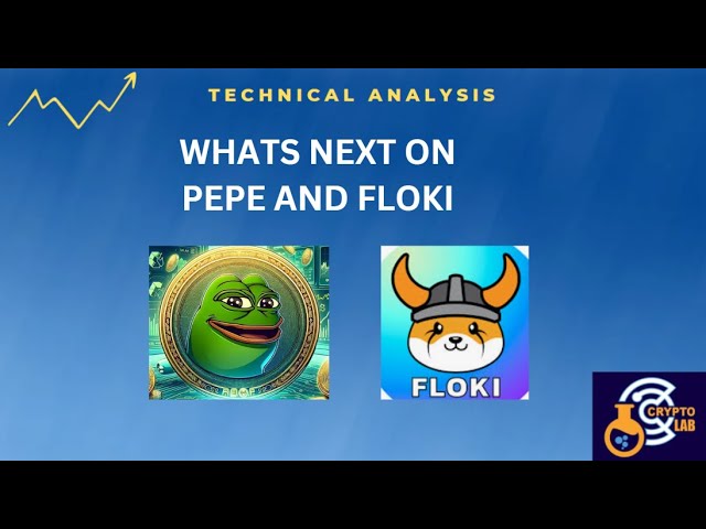 MISE À JOUR DES PIÈCES MEME PEPE ET FLOKI