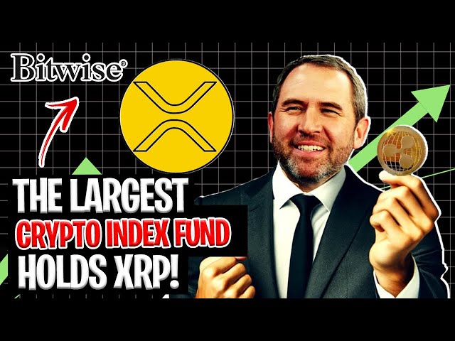 Ripple XRP 新聞 - 最大的加密指數基金持有 XRP！大衛·施瓦茨 (DAVID SCHWARTZ) 對 XRP 價格的評論