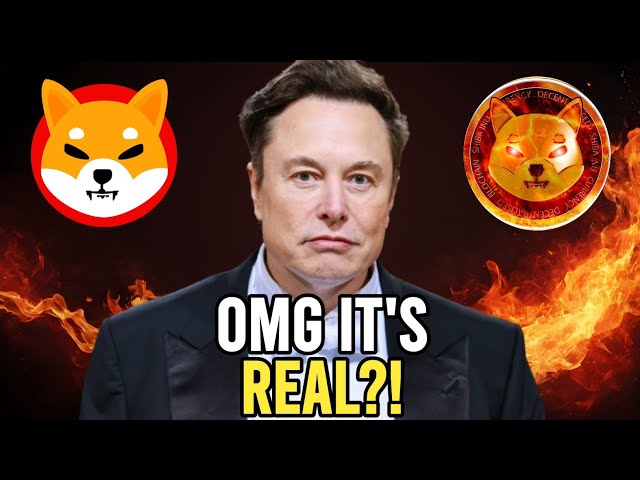 当伊隆·马斯克 (Elon Musk) 宣布柴犬将一夜之间上涨 1000 倍至 0.90 美元 - Shiba Inu news Today