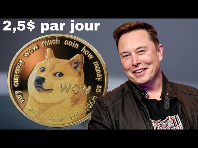 Verdienen Sie Geld mit Doge-Münzen | Online Geld verdienen | + Auszahlungsnachweis | USDT