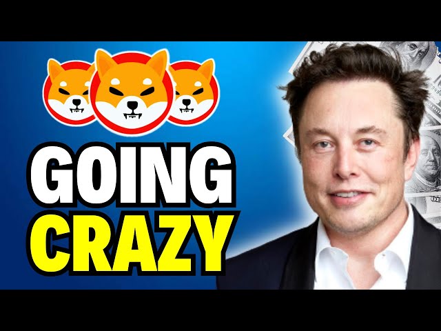 SHIBA INU LEADER DEV UND ELON MUSK HABEN NUR DAS GLEICHE SYMBOL TWEETETET. WAS BEDEUTET DAS? SHIB-NEWS