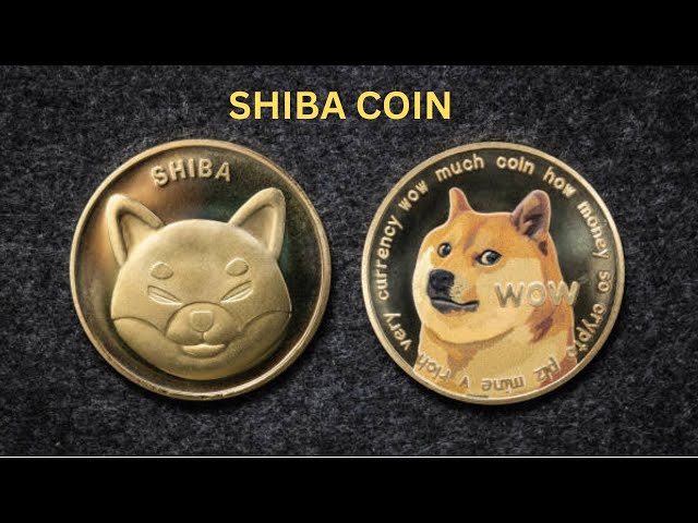 什麼是 SHIBA INU 幣/ shib 價格預測