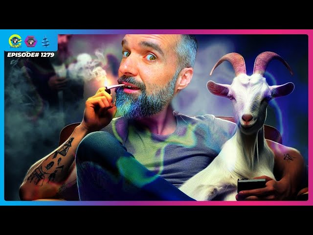 The Blacksheep Show - Ep 1279 : Célébration du 20/04 et réduction de moitié du style Cheech et Chong Bitcoin !