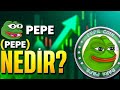 PEPE COINの価格予測と将来 2024年には0.01ドルになる可能性あり