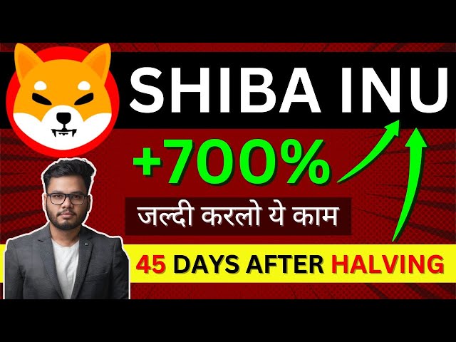 SHIB : POMPE à 700 % après avoir réduit de moitié (faites-le rapidement) Shiba Inu Coin News Today Latest