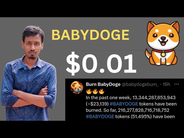 宝贝狗狗币今日新闻 | 13万亿燃烧| BabyDoge 硬币价格泵 100x