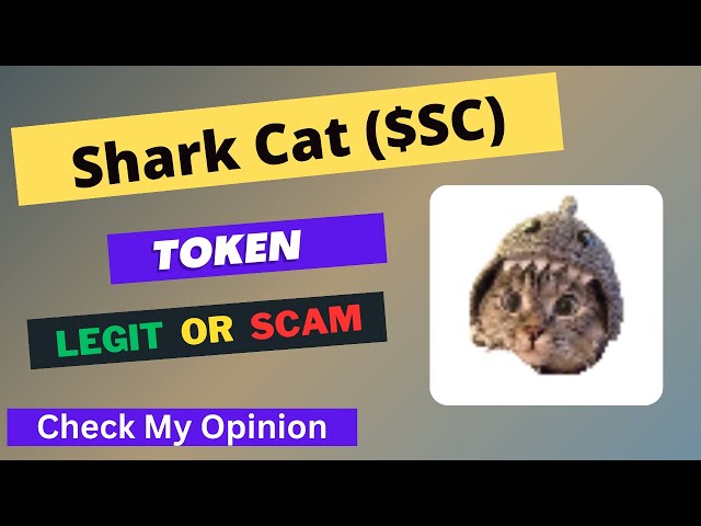 Shark Cat (SC) Token ist echt oder betrügerisch | Ist der SC-Token legitim oder Betrug?