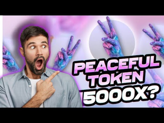 새로운 Hedden 보석 🌎 Peaceful Token 5000x ? 정직한 리뷰 🎉🎉실질적 수익 프로젝트