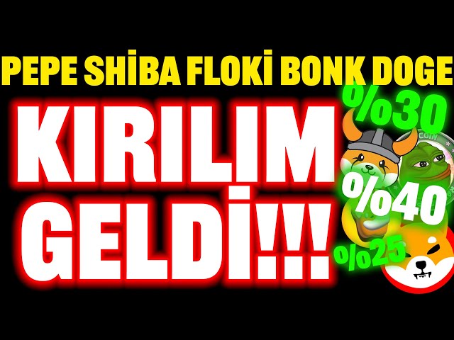 崩溃已经到来！ PEPE SHIBA FLOKI DOGE BONK 集会会继续吗？！ #floki #bonk #dogecoin #shiba #shib