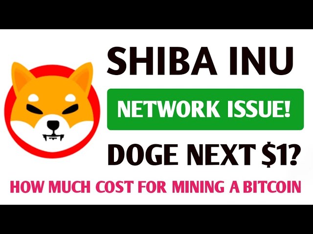 Problem mit dem Shiba Inu-Netzwerk? | Wie hoch sind die Kosten für den Bitcoin-Mining? | #Doge, #shib pumpt Update