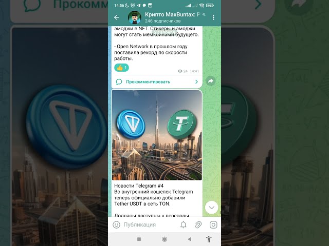 Telegram 新闻，TON 生态系统的发展。帕维尔·杜罗夫、塔克·卡尔森、Token 2049、Tether USDT、NFT