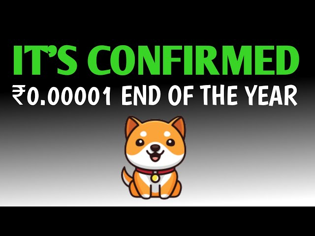 GRANDE ANNONCE DE BABY DOGECOIN 🚨 NOUVELLES DE BABY DOGECOIN AUJOURD'HUI 💰 PRÉDICTION DU PRIX DE BABY DOGECOIN 2024