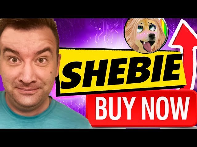 🔴Shibie Memecoin🔴Jeton Shibie🔴Shibie Crypto 2024