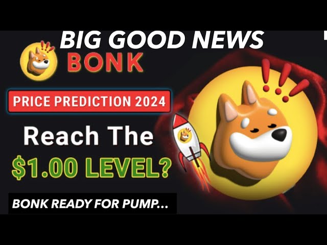 BONK TOKEN GRANDE BONNE NOUVELLE | BONK BULL RUN DÉBUT ??| PRÉDICTION DU PRIS DU BONK