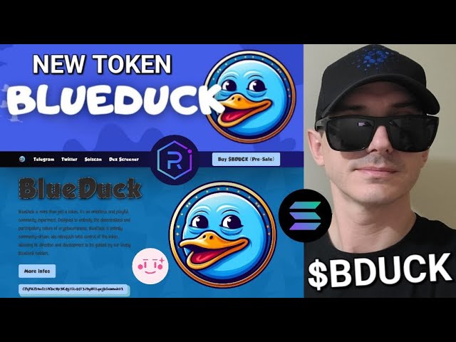 $BDUCK - BLUEDUCK TOKEN PRÉVENTE CRYPTO PIÈCE BDUCK SOL SOLANA PINKSALE RAYDIUM BLUE DUCK JUPITER MEME