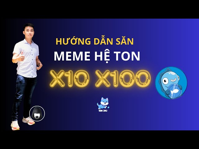 Meme Coin 投注说明 Ton X10 - X100