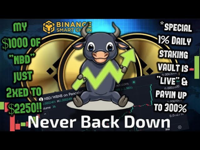 NBD 評論 | Never Back Down 代幣正在火熱並有望很快與新的被動收入附加組件一起爆炸