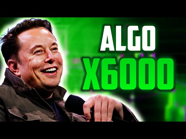 ALGO A X6000 将于本日期末推出？ - Algorand 2024 年和 2025 年价格预测