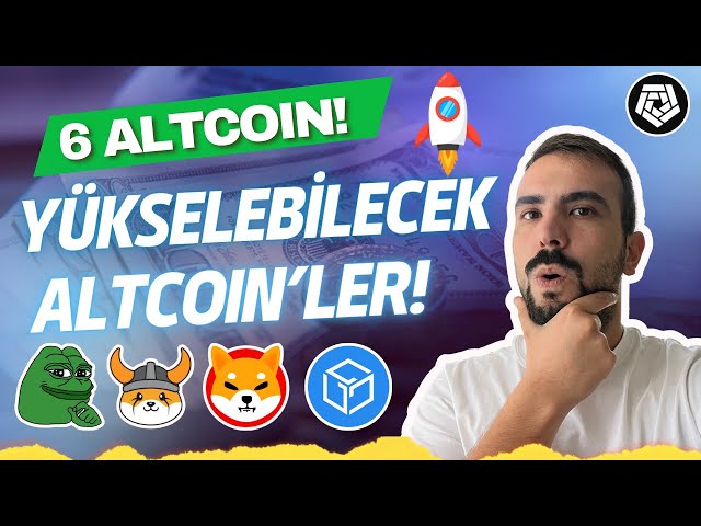 🚀SHIBA COIN、PEPE COIN 和 FLOKI 会上涨吗？ 6 种可能上涨的山寨币！芝币重大新闻