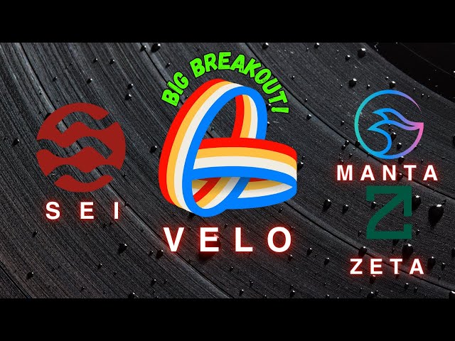 Velo Coin、Zeta Coin、Sei Coin 和 Manta Coin 最新价格分析！ |最值得购买的山寨币？