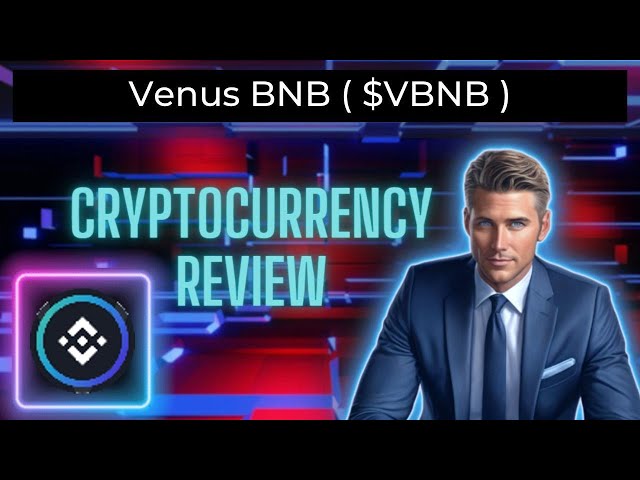 비너스BNB(VBNB) 코인이란 무엇입니까 | VBNB 암호화폐 검토