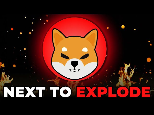 SHIBA INU COIN Neben EXPLODE!