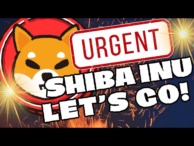 ÉNORME MISE À JOUR DE LA PRÉVISION DU PRIX DES PIÈCES SHIBA INU !🔥🚀