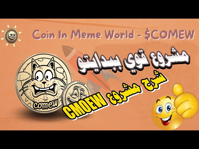 一個可以實現巨大成長的機會——一個從 Coin In Meme World 開始的強大項目