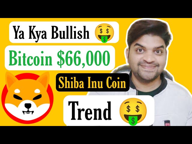 캬 강세 하이 🤑 | 비트코인 $66,000 | Shiba Inu Coin 최신 뉴스 업데이트 오늘