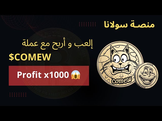 Une monnaie forte à suivre pour un projet d'envergure Coin In Meme World