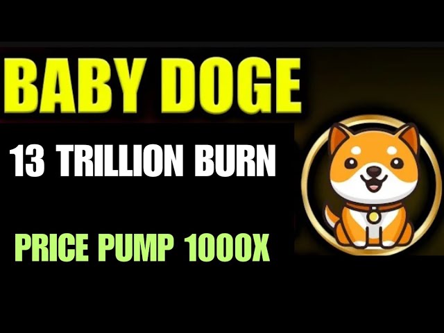 Baby Dogecoin 13 Trillion Burning | BabyDoge Coin Price Pump 1000x | Listing