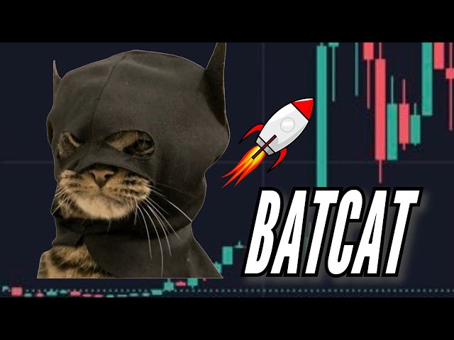 BATCAT (BTC) 🔥 바닥 나노 캡 SOLANA CAT COIN 🚀 100x 잠재적 보석 💎 토큰 검토 및 분석