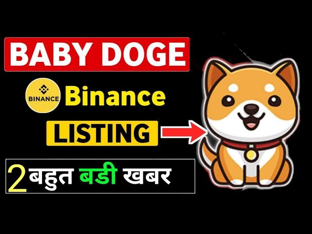 2024년 5월 바이낸스 상장 Baby Doge.? || Baby Doge 코인 100X 2024년 5월