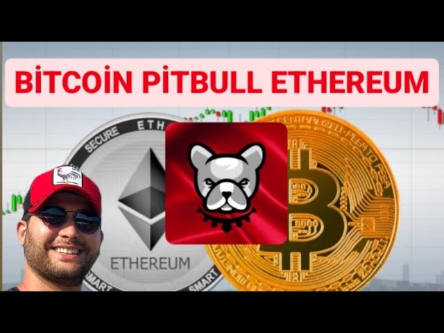 🔥PITBULL COIN 比特币 ETHEREUM #pitbullcoin #ethereum #bitcoin