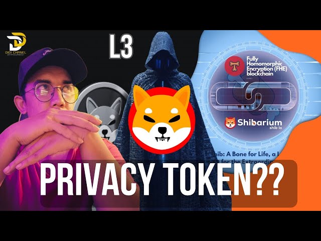 SHIBA INU 2024| 🔥BIENVENUE BLOKCHAIN ​​L3 ? | TRAITER LA CONFIDENTIALITÉ DES JETONS...???