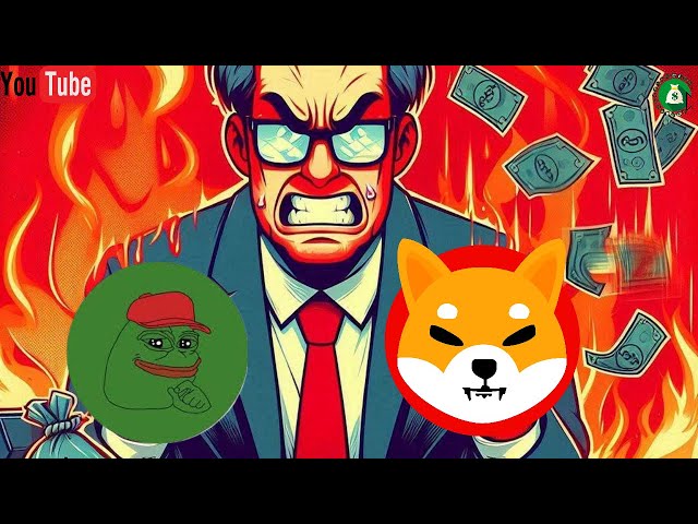 Shiba Inu Coin et Pepe dernier MOT ? Analyse du BullRun 2024