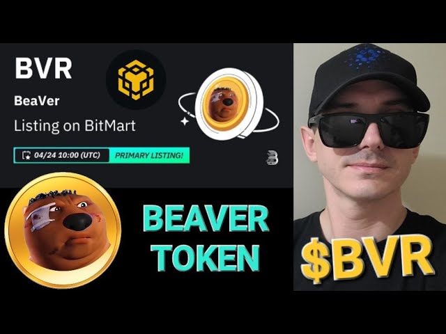 $BVR - BEAVER TOKEN CRYPTO COIN BVR BNB BSC BITMART MEME MEMECOIN PANCAKESWAP BLOCKCHAIN ​​CEX DEX