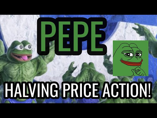 PEPE Breaking New All Time Highs Soon! Bitcoin Halving Supply Shock Next Year 2025