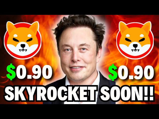 今天柴犬新聞！當 Elon Musk 推出時，柴犬將一夜之間上漲 1000 倍，達到 0.90 美元！