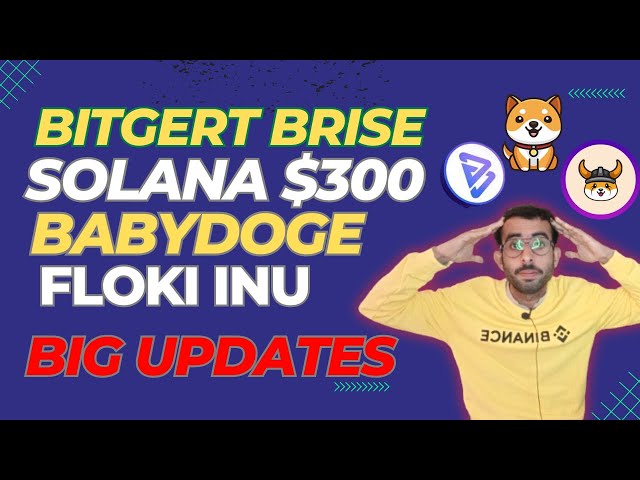 Floki Inu 硬幣新聞 | Solana 幣 300 美元 | Bitgert Brise Baby Doge 硬幣更新