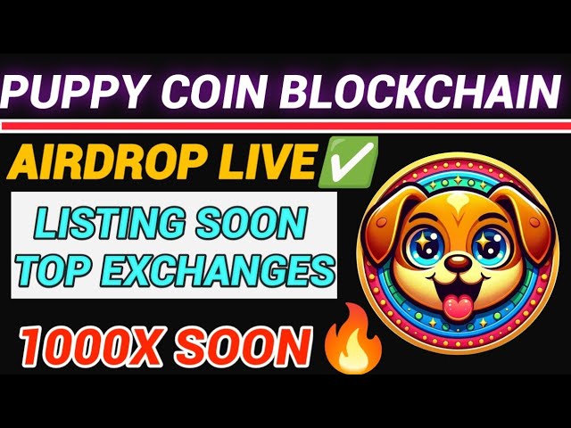 Puppy Coin | Chiot connectant le monde| Airdrop en direct💢| Bénéfice 1000x après 🔆Inscription ✔️|