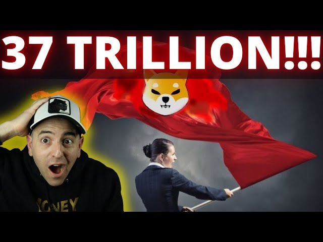 柴犬之謎終於解開！哇！柴犬 37,000,000,000,000！