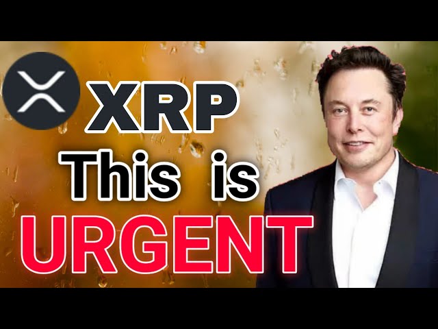 XRP Huge Crash Expected! Ripple  Price Prediction