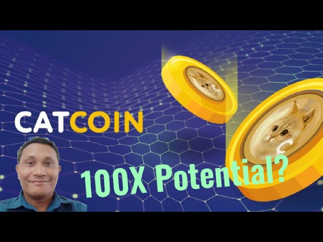 CATCOIN 具有 100 倍潛力的新 Meme 代幣？